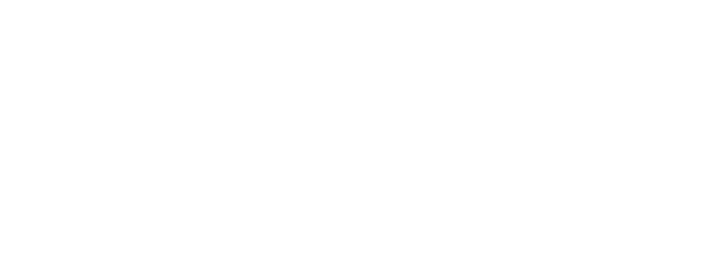 Logo for Solar Accreditation Australia Logo RGB REVERSE 1024x375